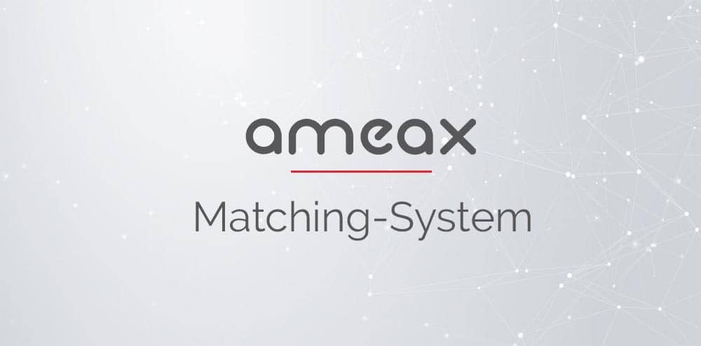Logo Matching-System — Schnittstelle für ameax